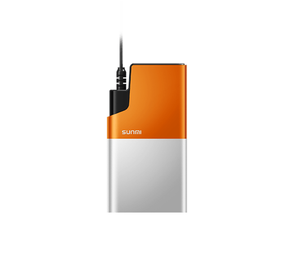 POS Power Bank immagine del prodotto
